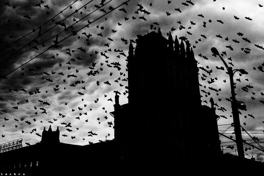Sky email