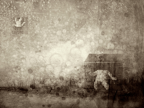 Of the strange childhood dream ...