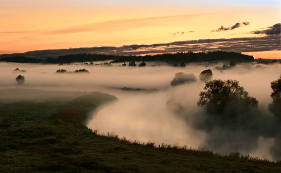 The Fog "canyon" Svisloch