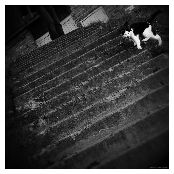 ...come with me...
