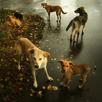Family Portrait