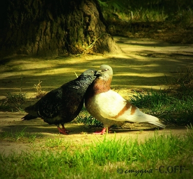 Just a kiss