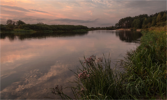 Lilac evening