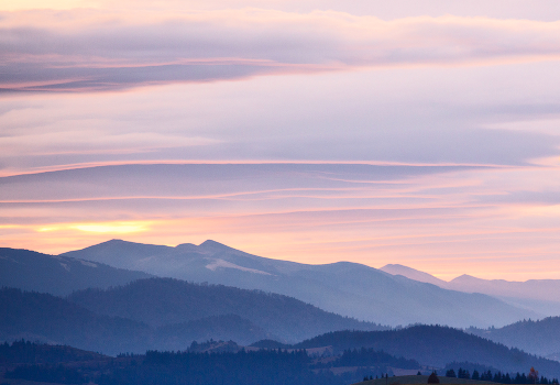 Strawberries and cream ... ...