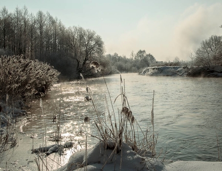 Frost