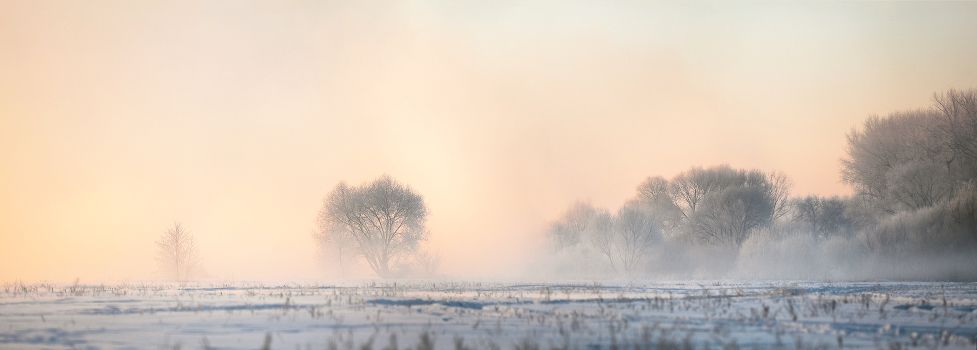 Frost, fog and sun - a wonderful day