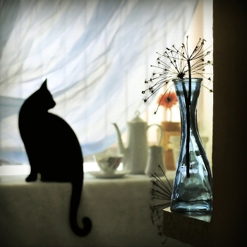 Morning ...