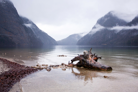 Königssee