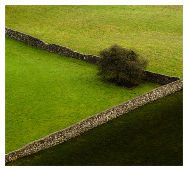 Shades of green ... ...
