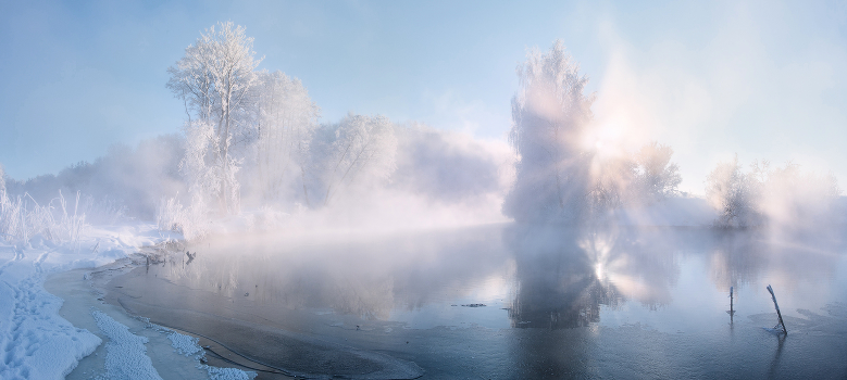 Tenderness winter morning .......... .........