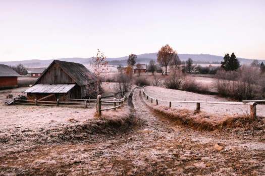 November morning meeting