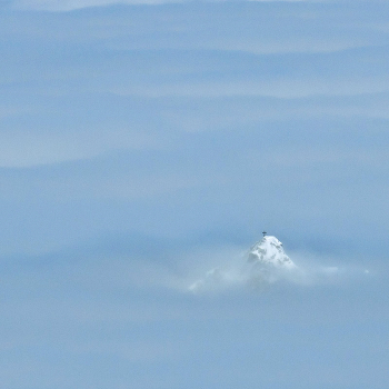 Above the clouds