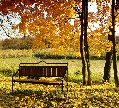 Autumn of my life