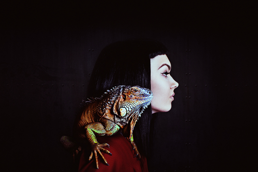iguana+Dasha