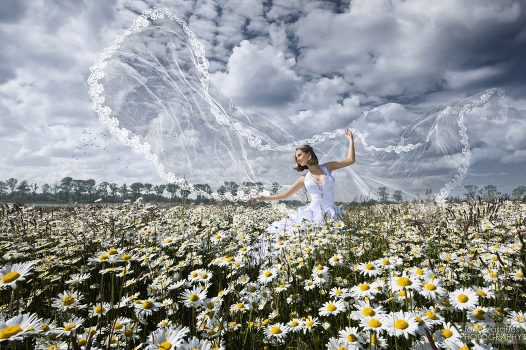 Daisies !! WIND !!! HAPPINESS !!)))