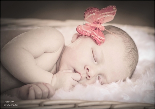 Sweet dream