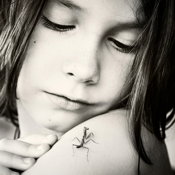 a boy and a mantis