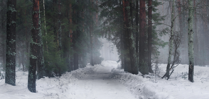 On the evening of March Road