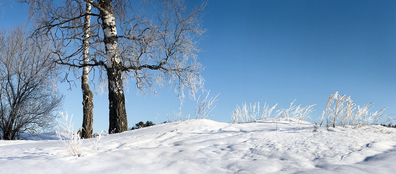 Frosty March morning