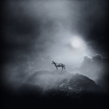 of the horse in the clouds