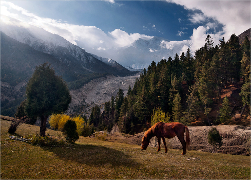 Among the mountains