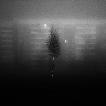 ***