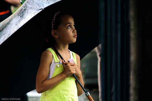 Under the summer rain