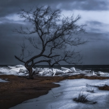 Azov coast