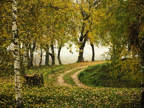 The road over the Dnieper