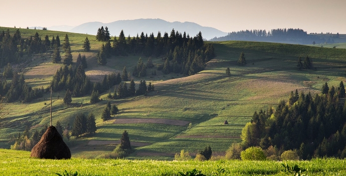 Carpathian Mountains in the mist