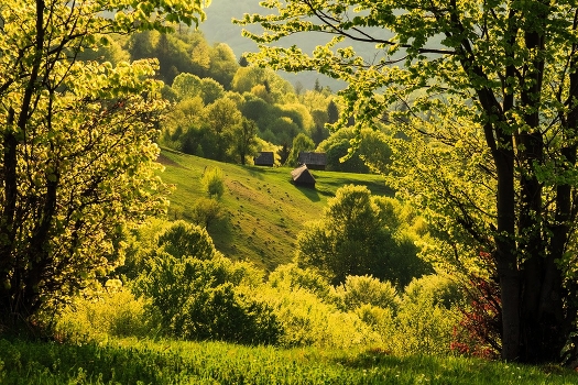 Farm in a golden frame
