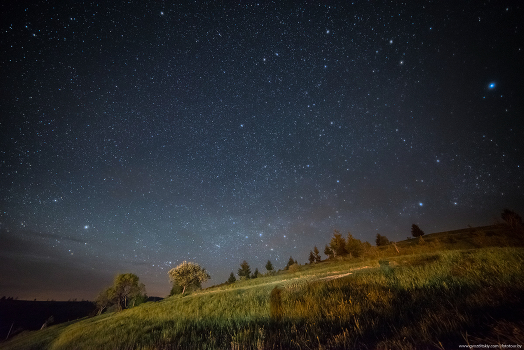Green slope beneath the stars