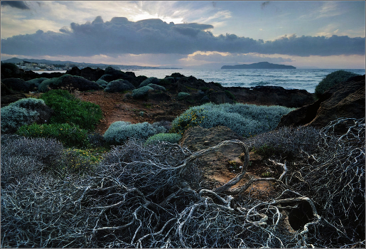 "Skeleton Coast"
