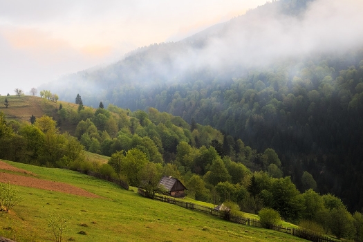 Misty dawn cloudy