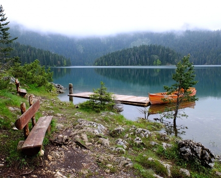 Morning on Black Lake