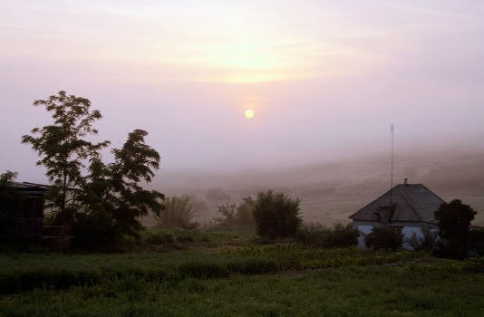 Colors of the morning dawn.