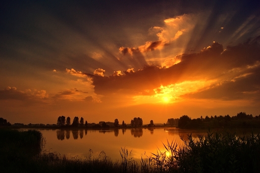 Dawn