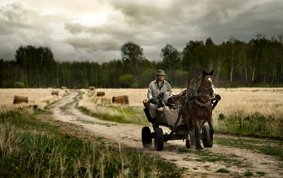 Dray carting