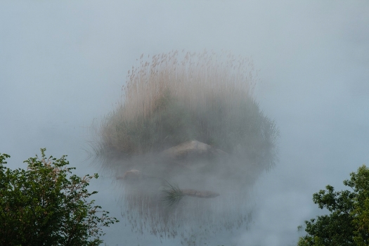 Ghost "Gipanisa".