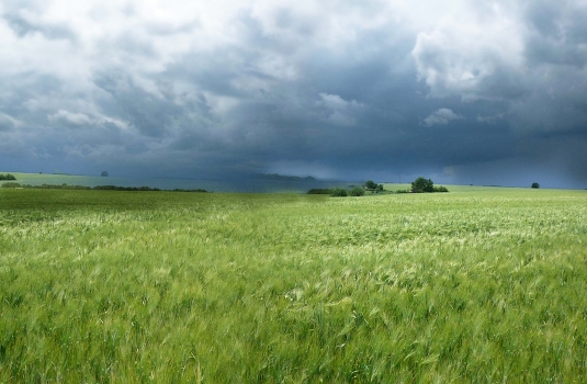 Sound of regen ...
