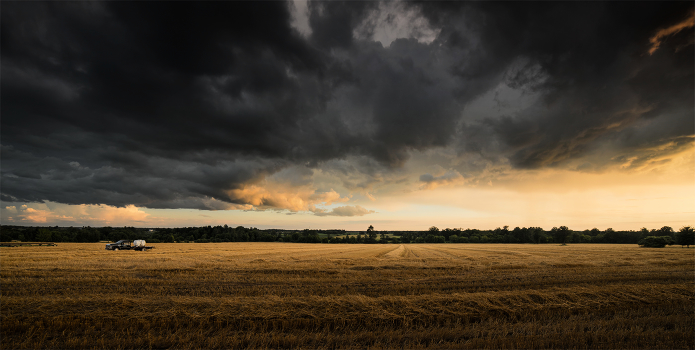 ...already harvest time