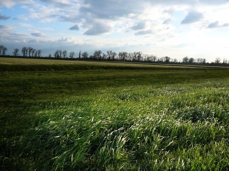 Teppichboden mit Wind
