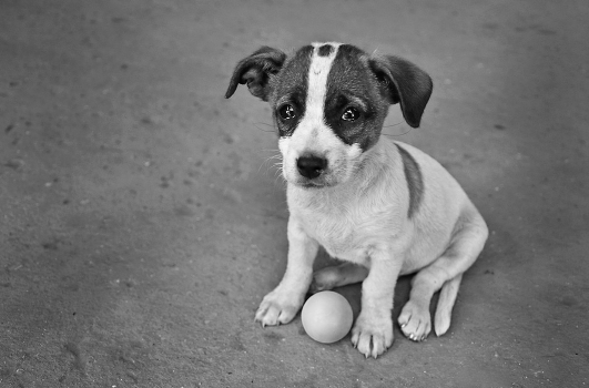 Please play with me