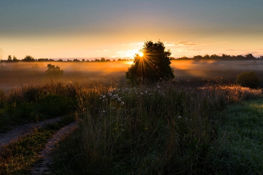 Morning in the village High.