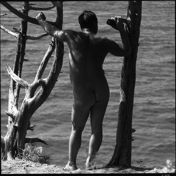 Decked sun (1)