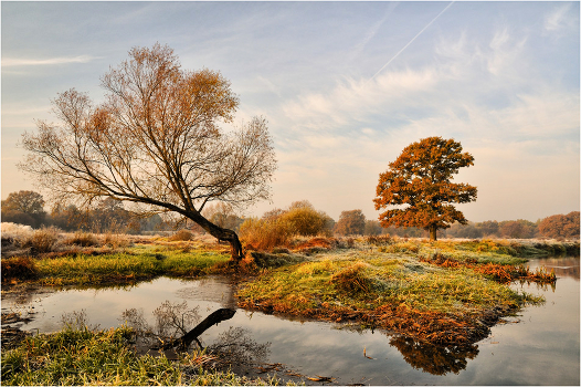 In the autumn of