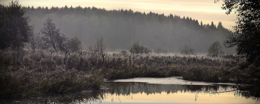 Morning on the truncated