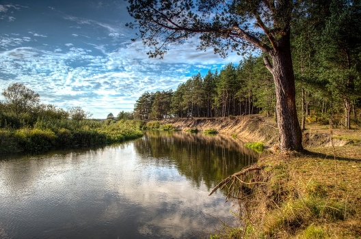 Bend in the river