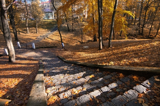 Fall of the city 2