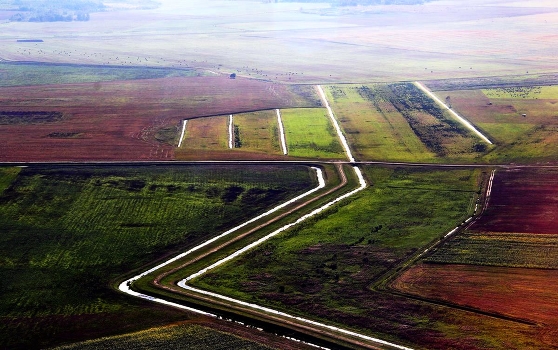 Native open spaces II